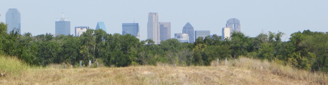 Chain of Wetlands - view of downtown Dallas